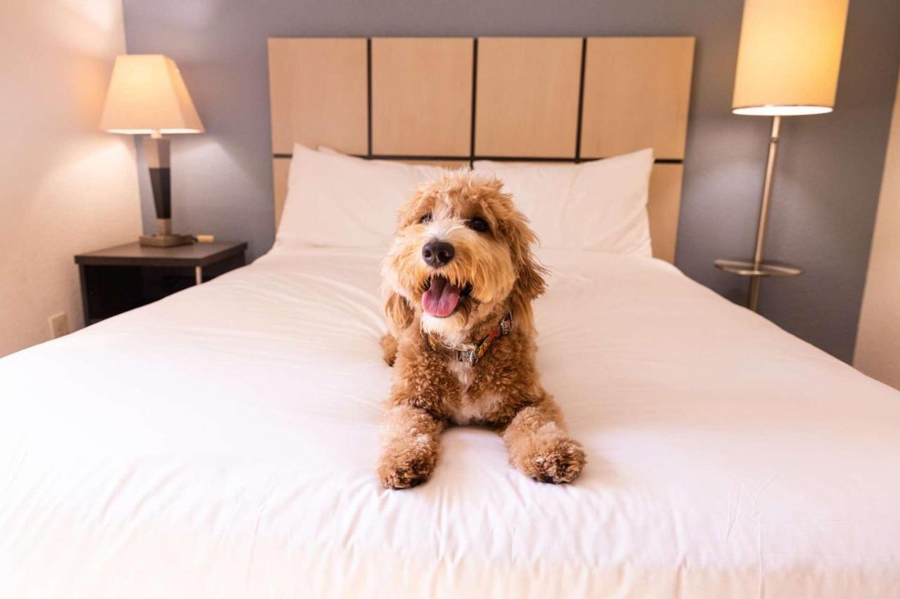 Sonesta Simply Suites Oklahoma City Airport Экстерьер фото